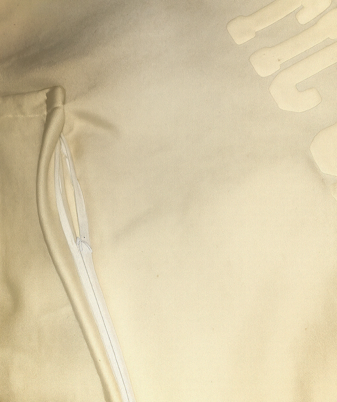 Regime Issue Zip Hoodie